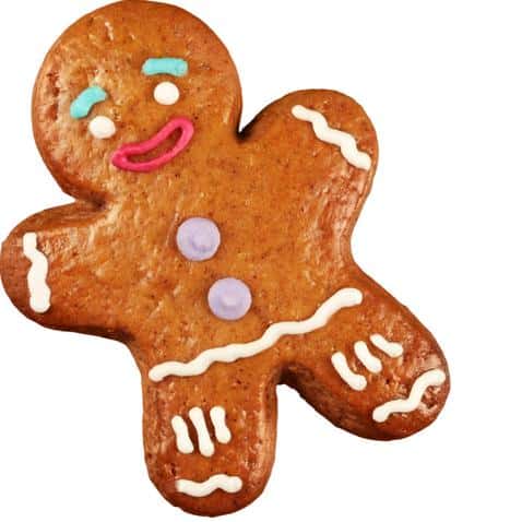  A perfect gingerbread snack to accompany you on a moonlit night.