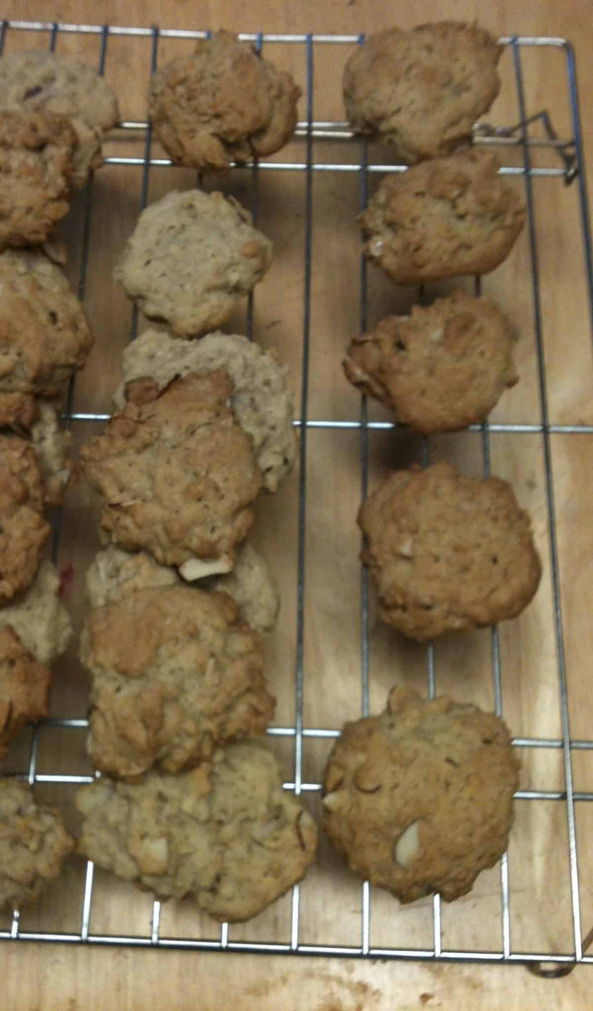 Carol's Oatmeal Cookies