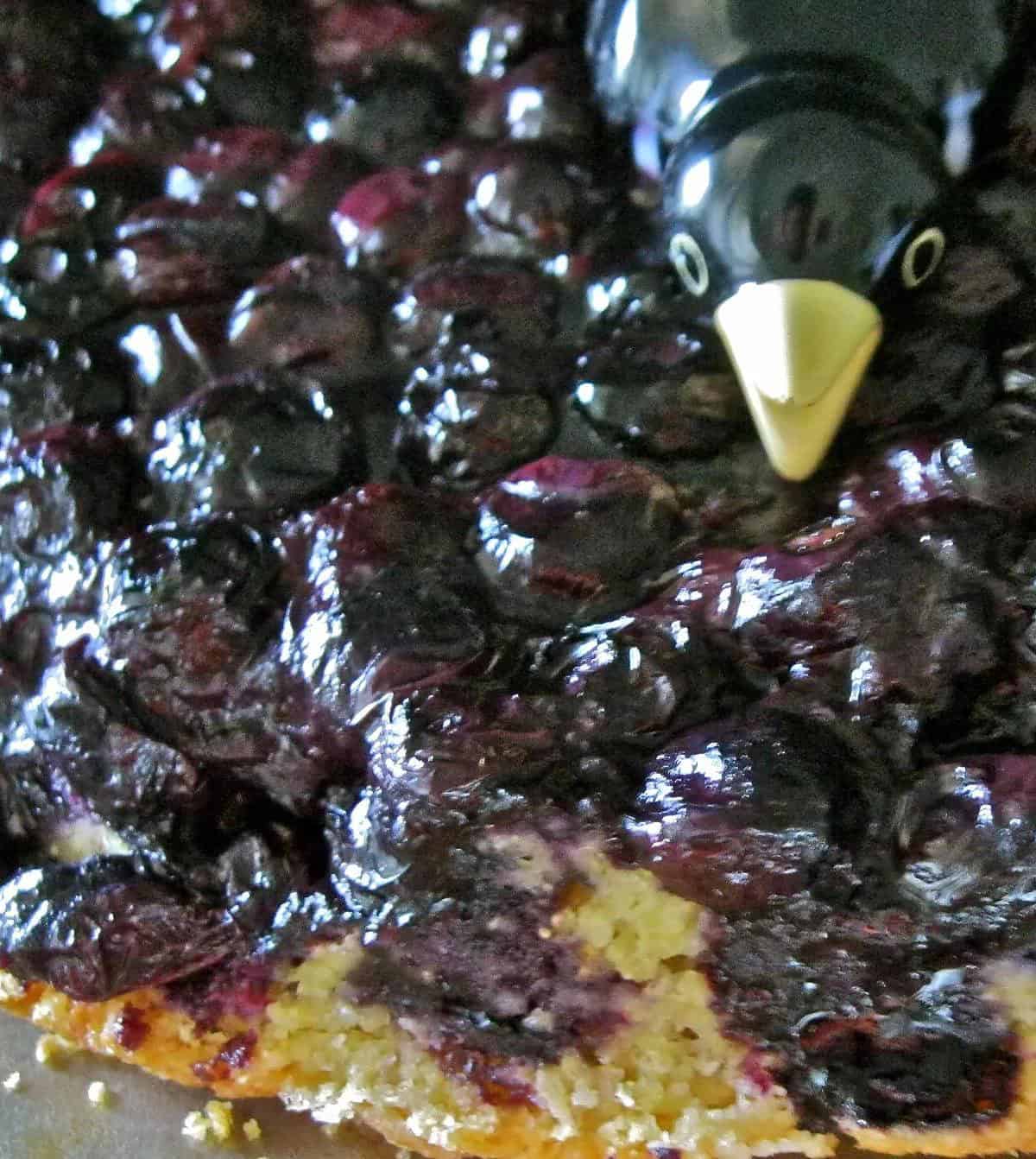 Crow's Nest Pudding