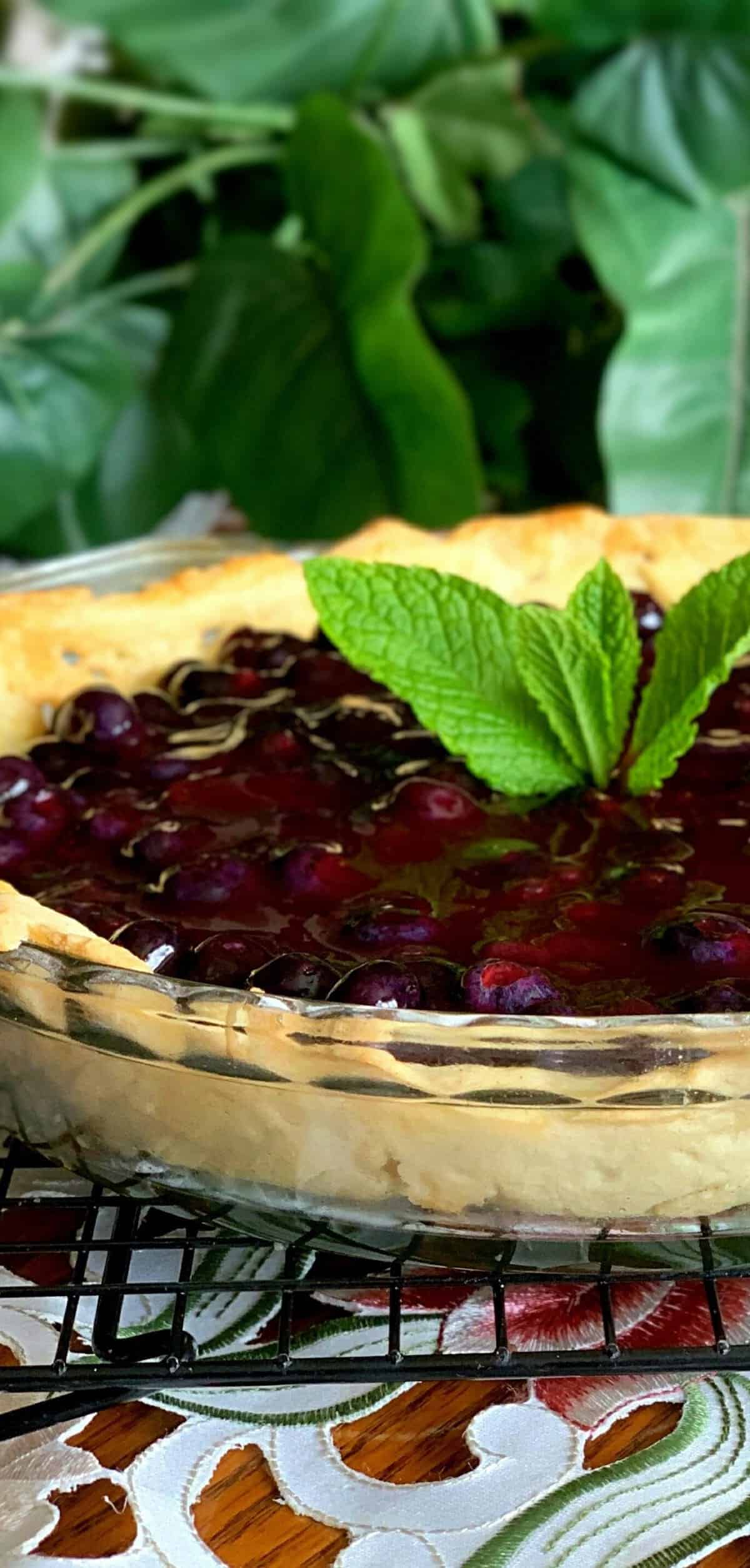  Fresh blueberries, the star of this pie