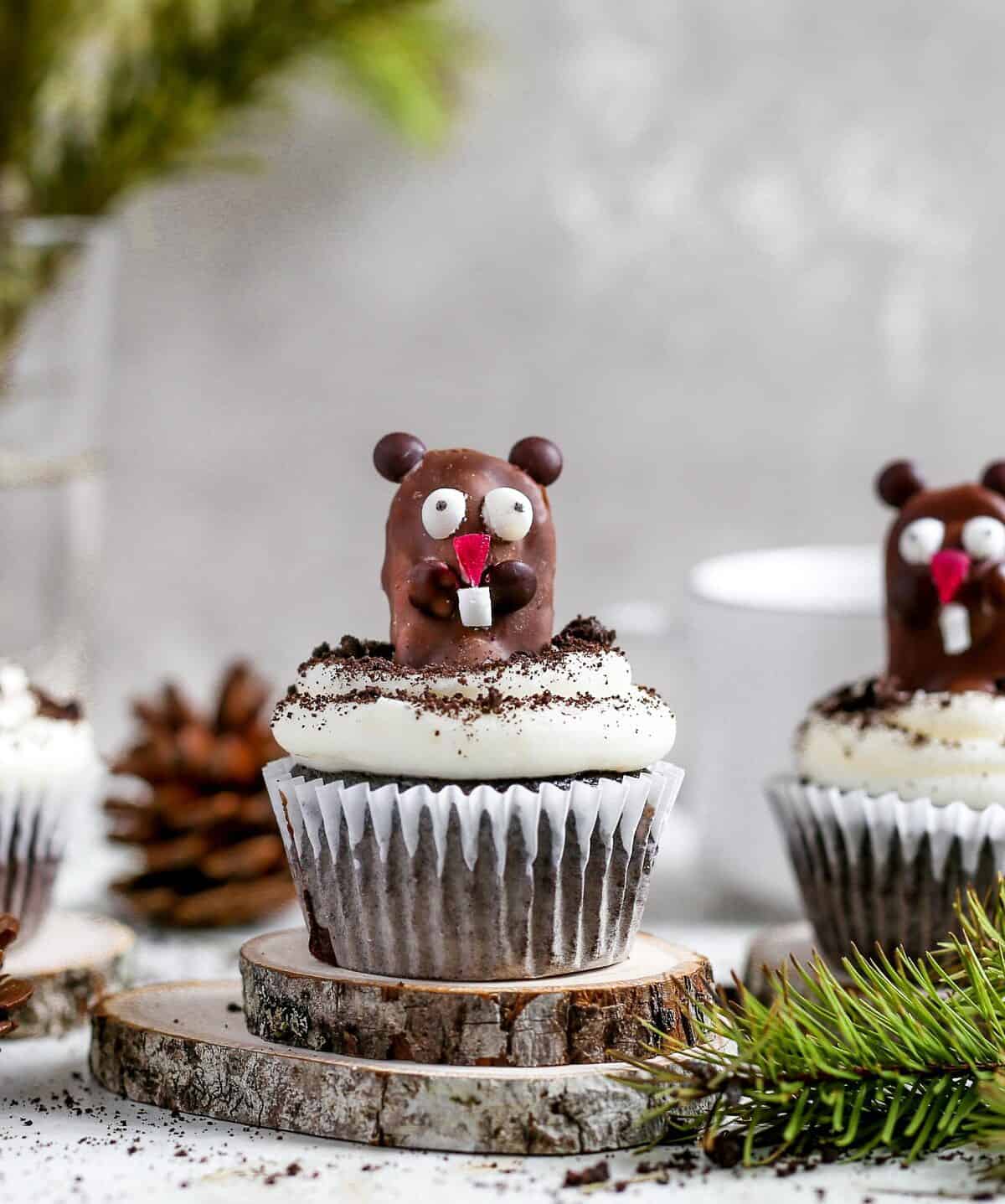 Delicious Groundhog Day cupcakes to impress guests!
