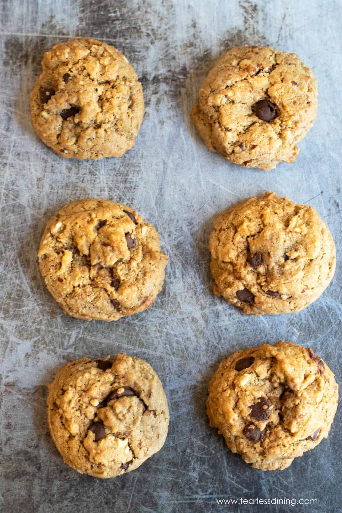  Indulge your sweet tooth with these gooey Hazelnut Rum Chocolate Chip Cookies.