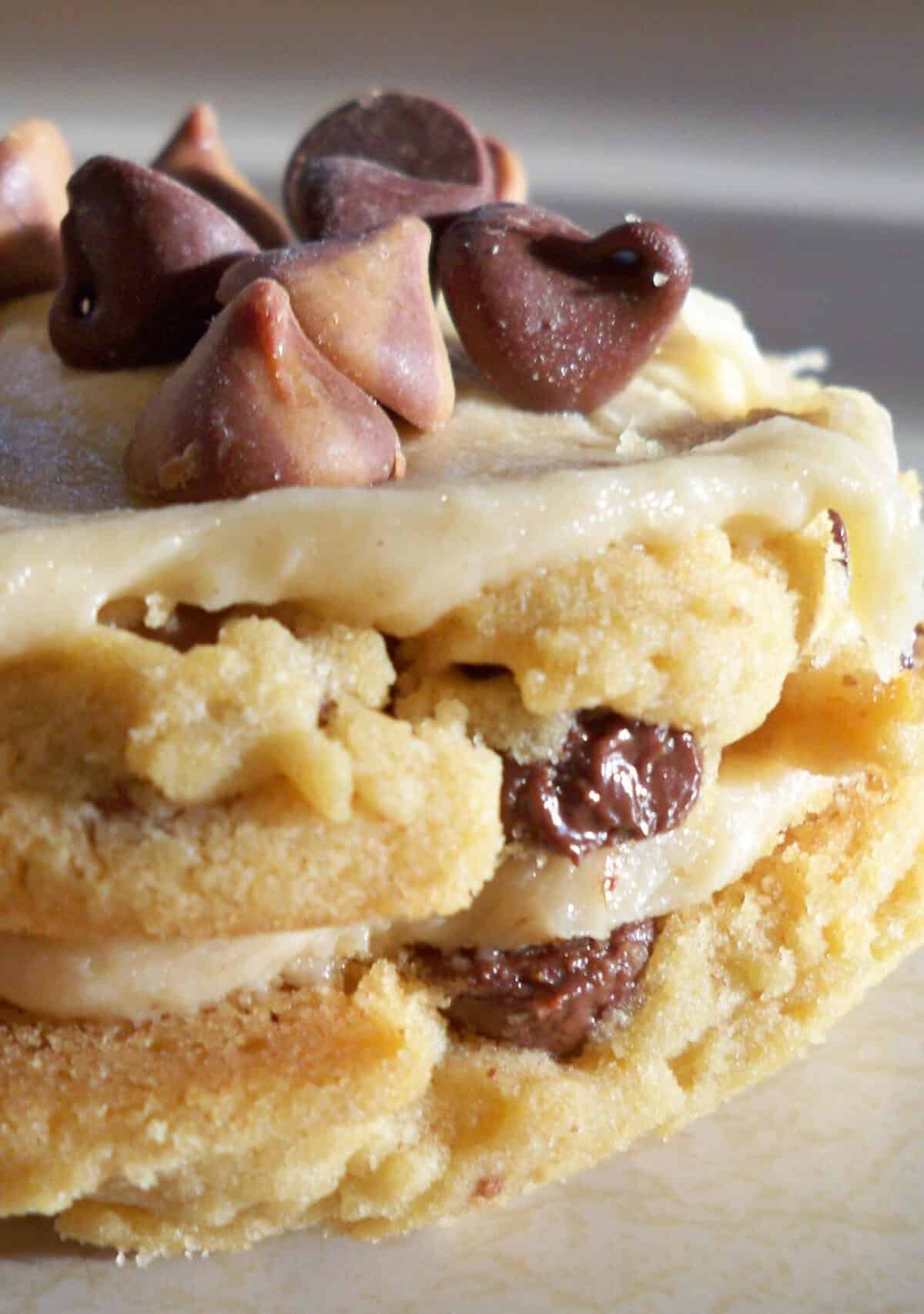 Delicious Peanut Butter Cookie Sandwich Recipe