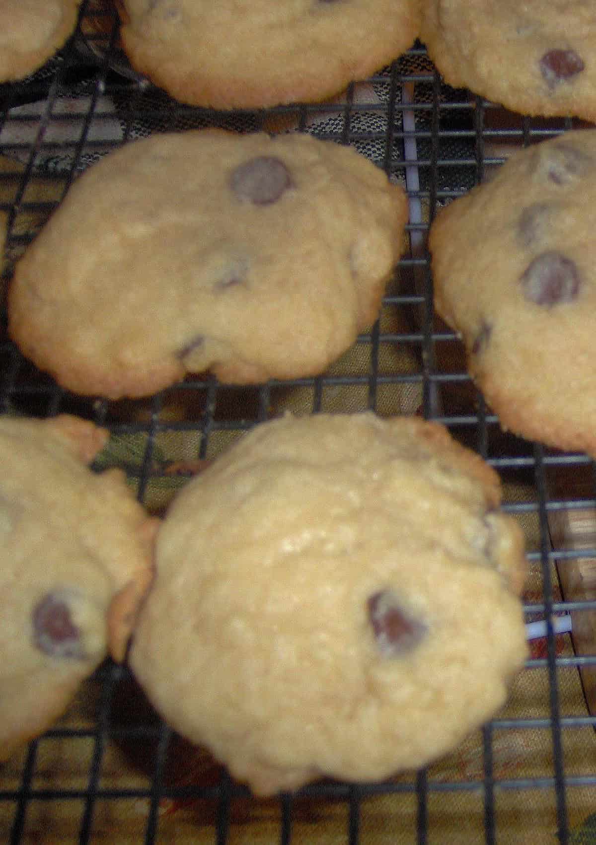 Mrs. Fields Chocolate Chip Cookies.