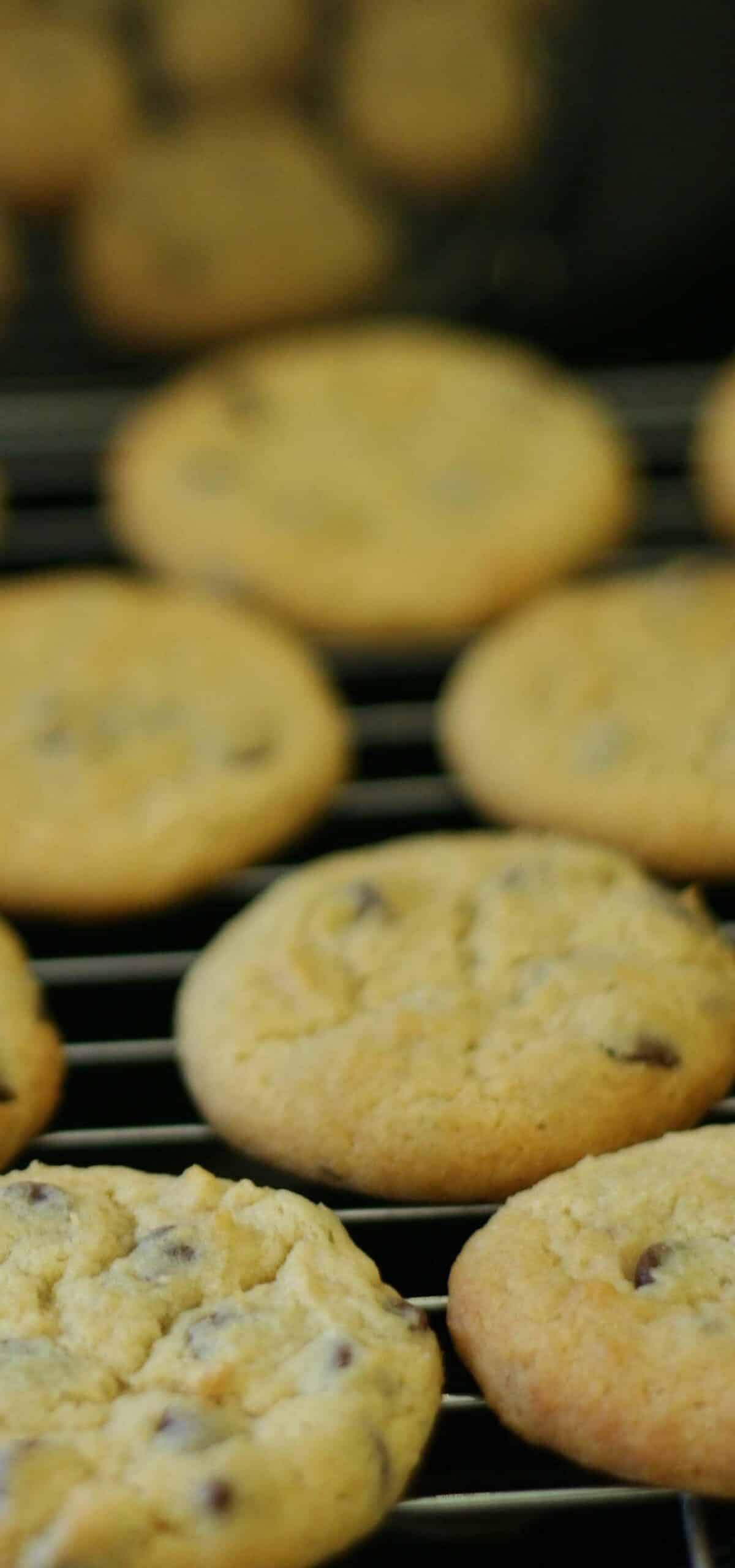  Nothing beats the aroma of freshly baked chocolate chip cookies.