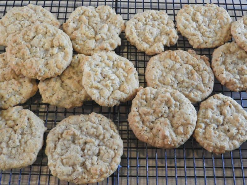Bite into Deliciousness with our Homemade Scotch Oat Cookies