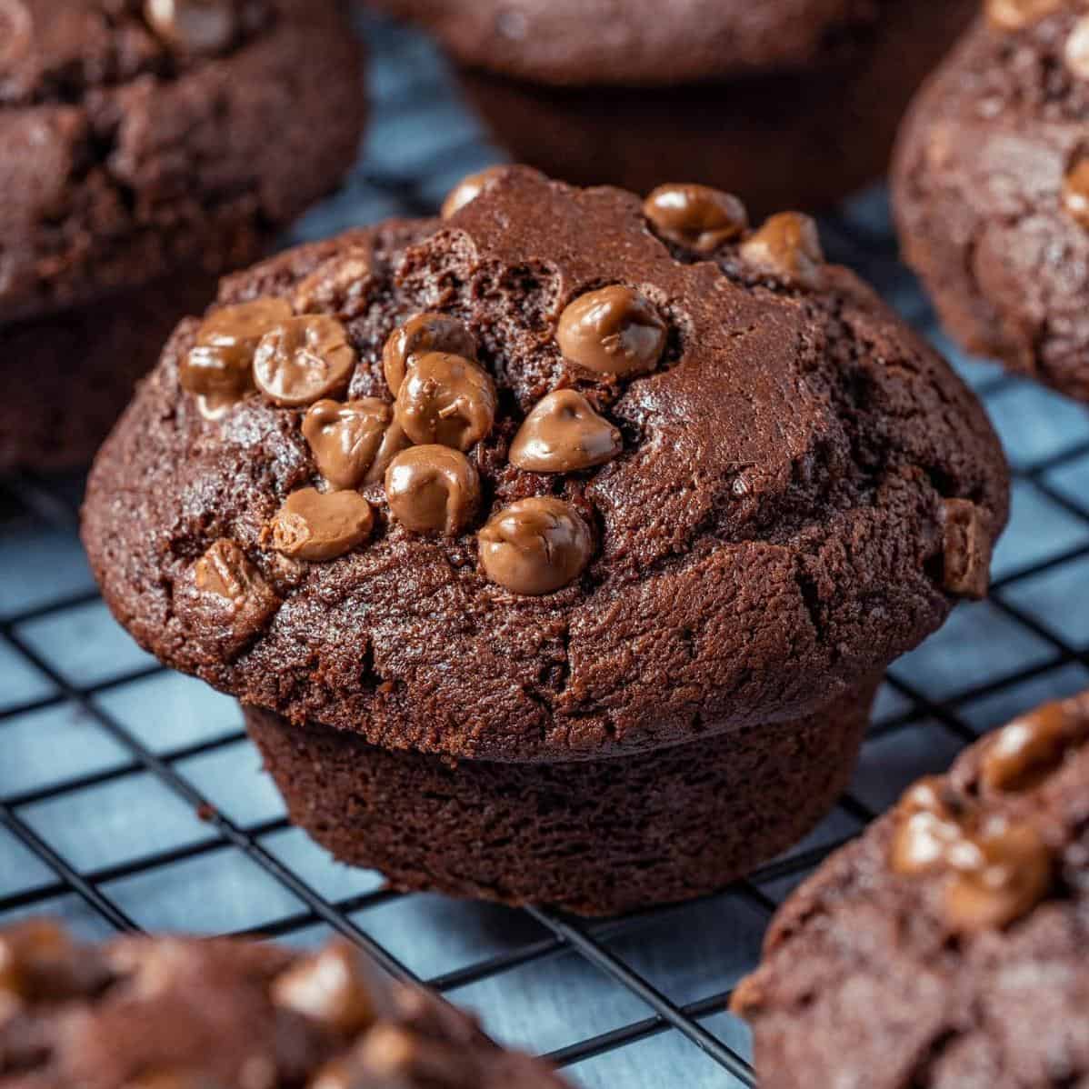  Sink your teeth into these fudgy and moist muffins!