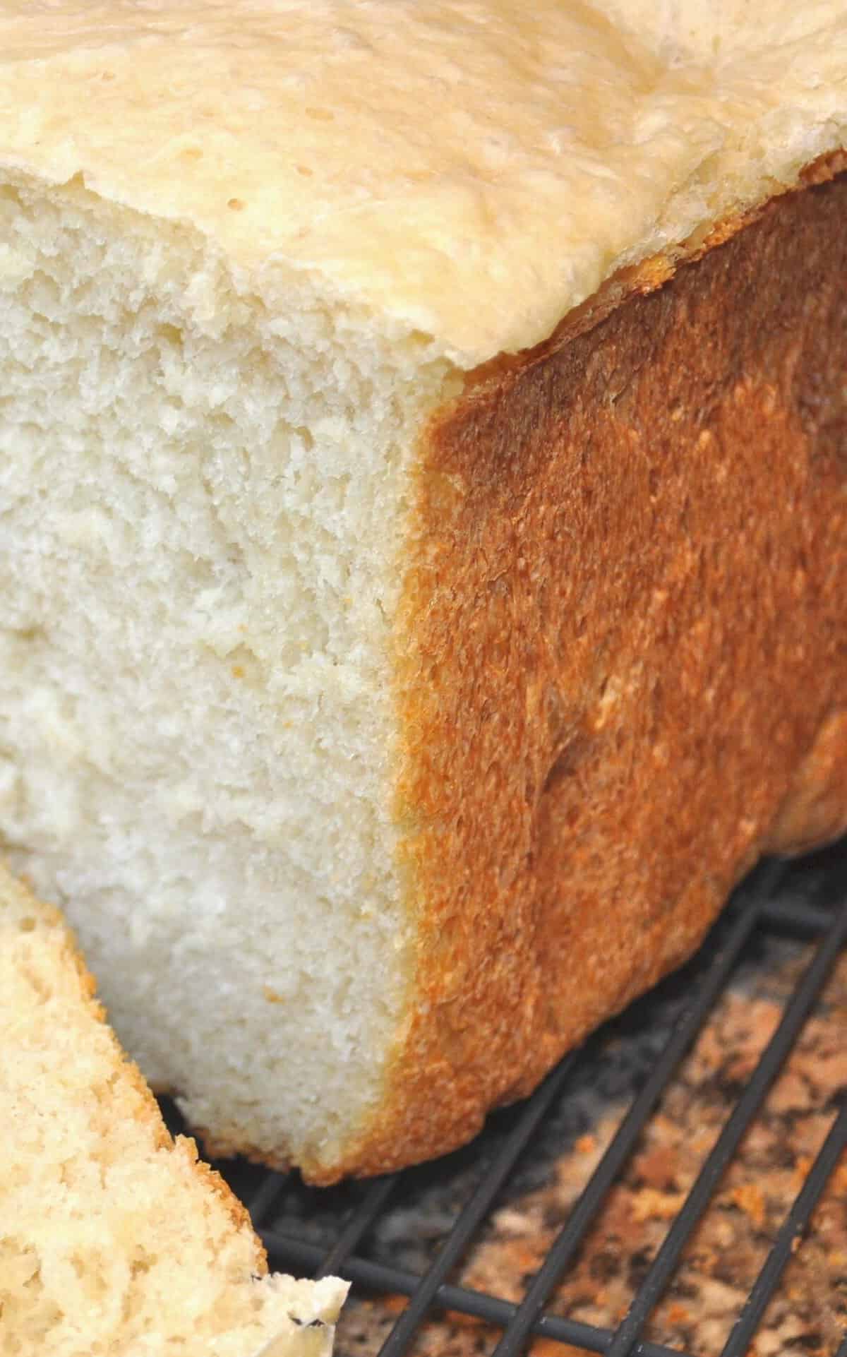 Deliciously Tangy: Homemade Sourdough French Bread Recipe