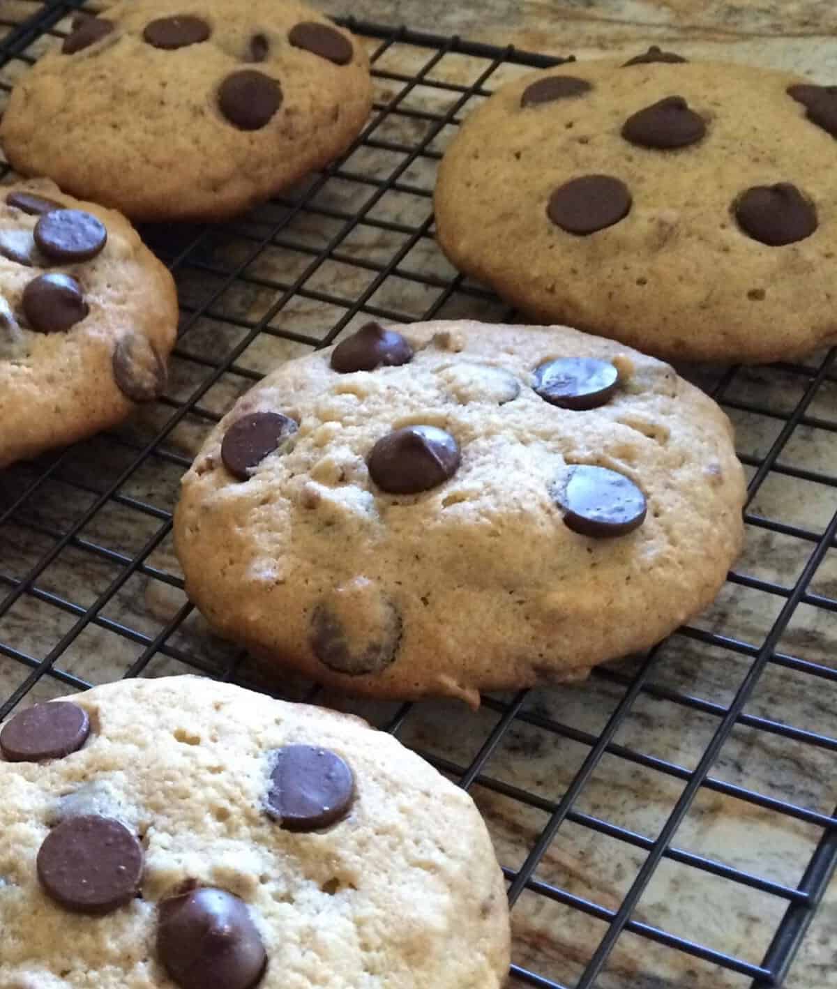  Tasty and chewy, these cookies are perfect for satisfying your sweet tooth