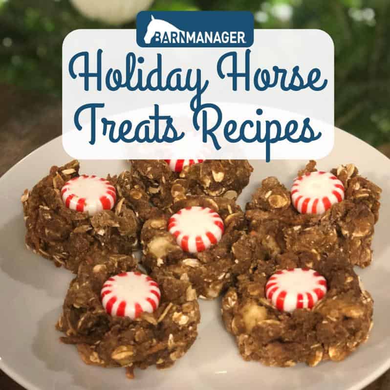  These homemade horse treats are perfect for the holiday season.